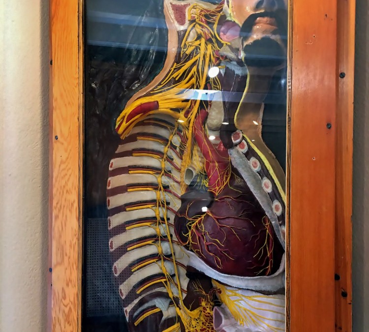 mobile-medical-museum-photo